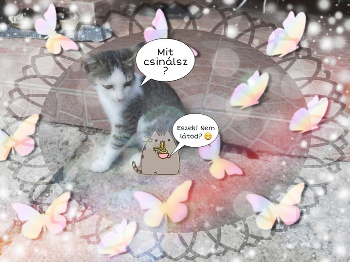 Amikor muszály valami vicceset csinálni!