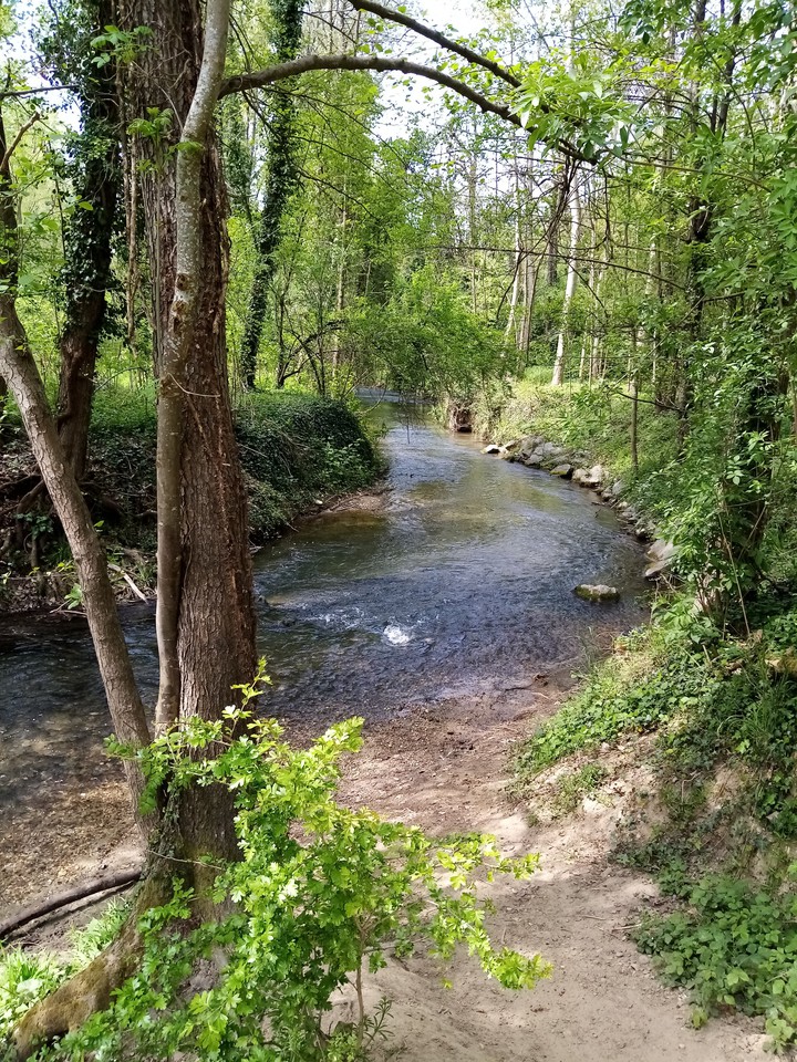 L'Ozon, jolie et discrète petite rivière
