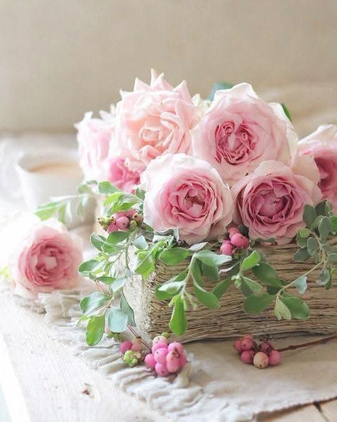 flower, pink wallpapers