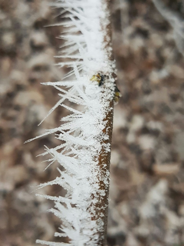 Ice pikes
