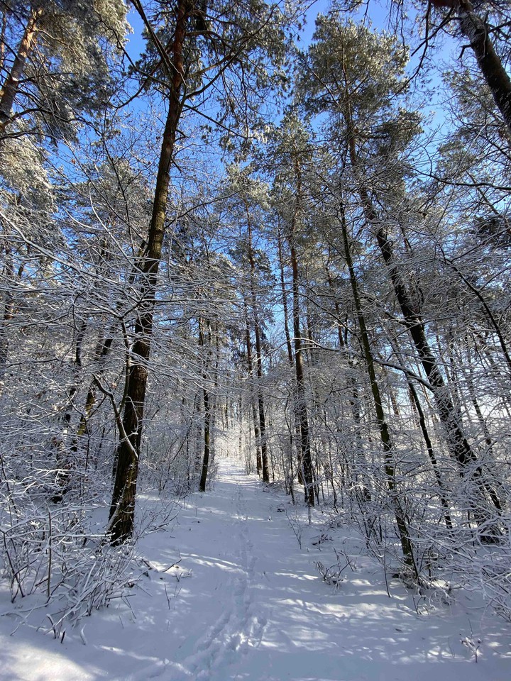 winter