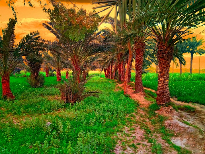 ansar village
