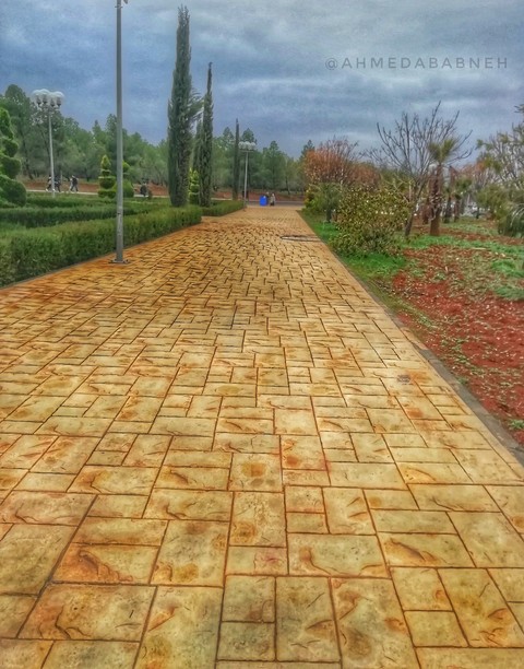 Jordan University of Science and Technology