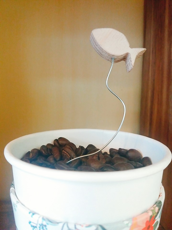 물고기