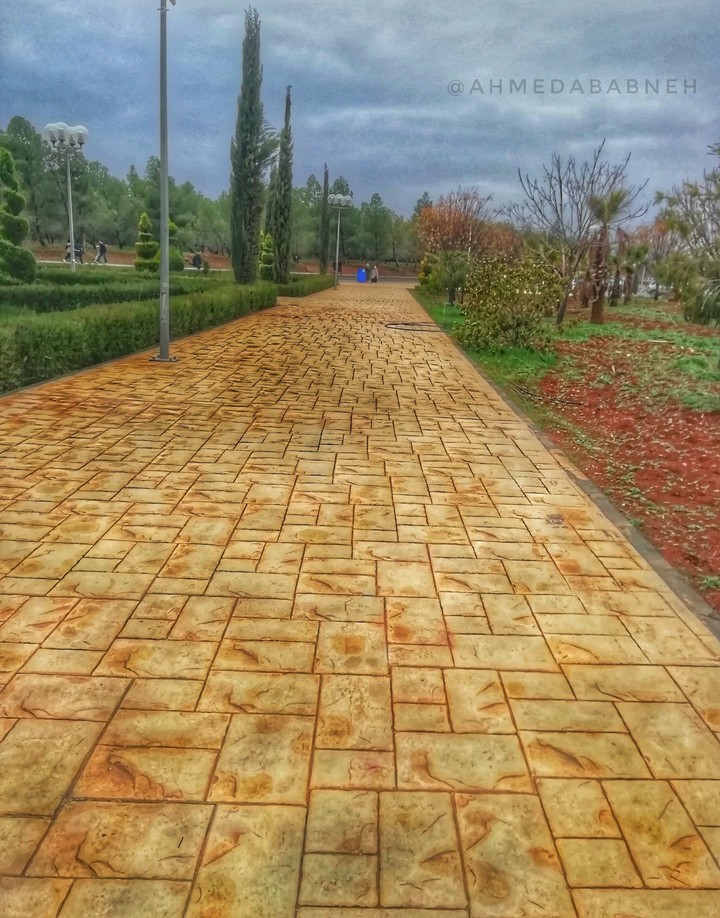 Jordan University of Science and Technology