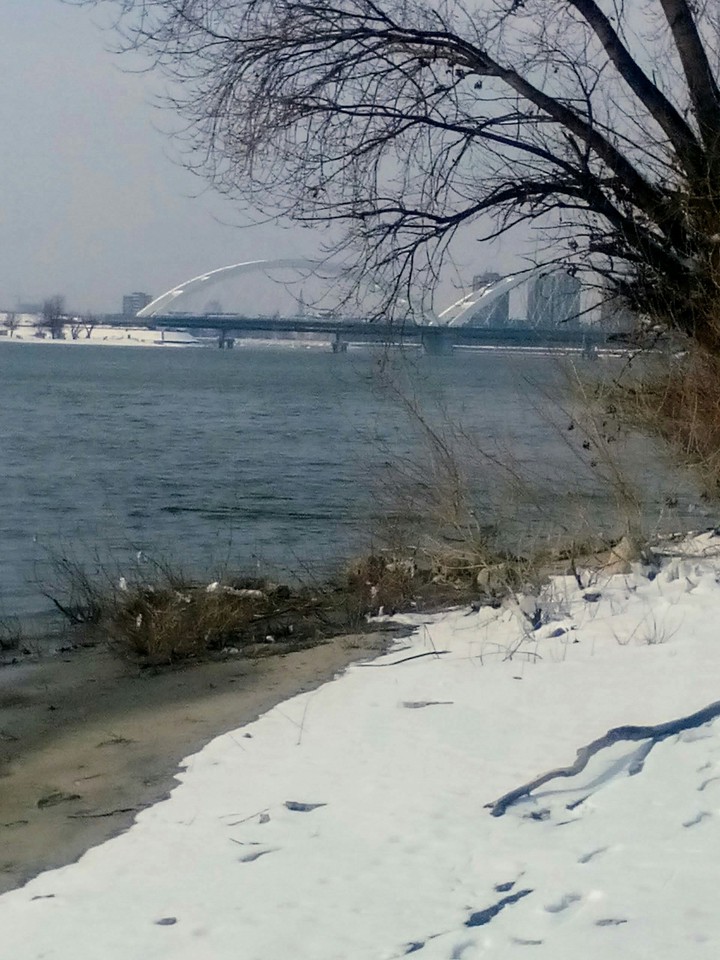 Dunav