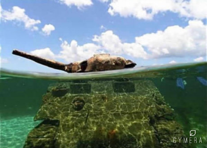 Drowning Tank. Left Behind from WW2