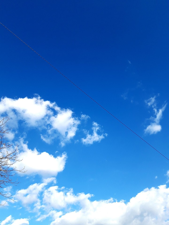Sunnyday