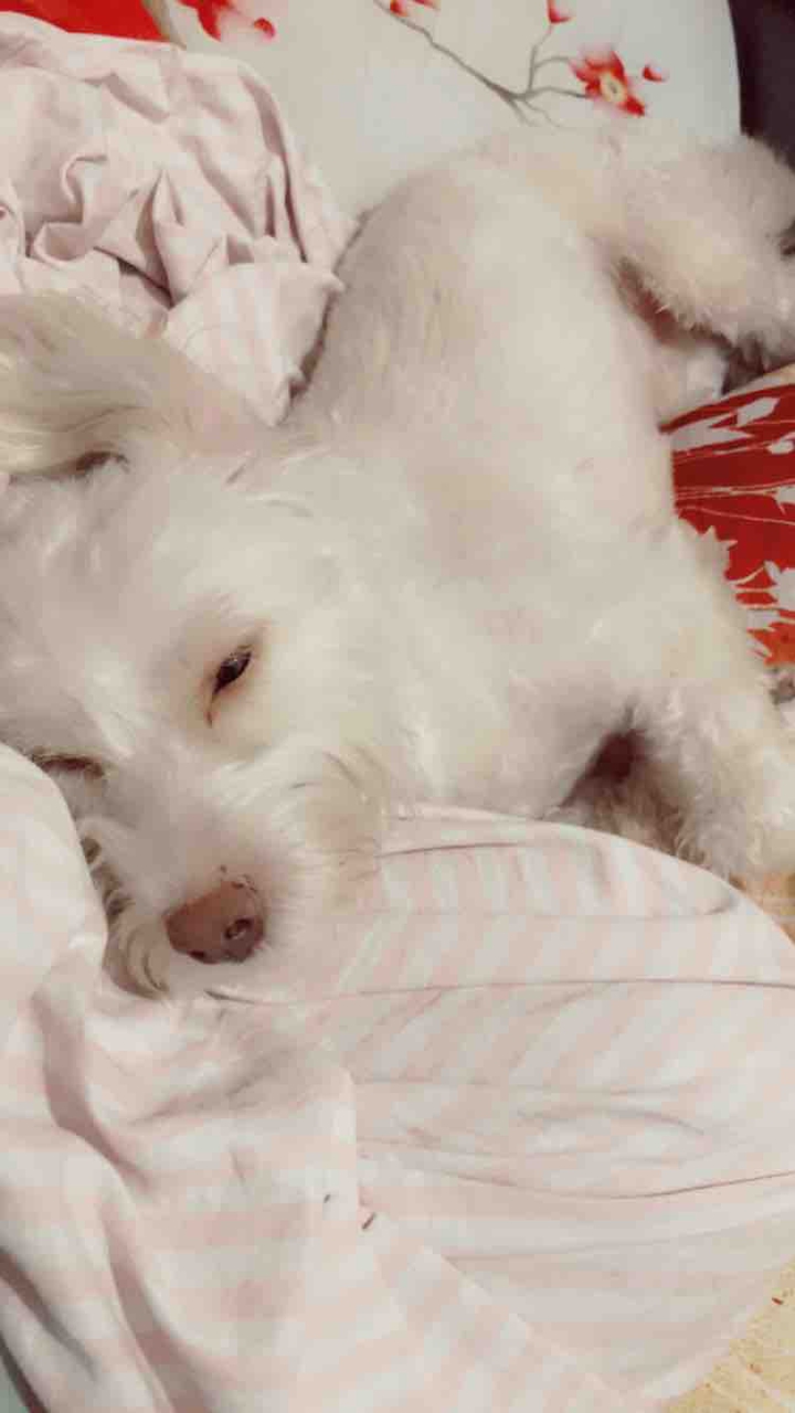 sleepy baby