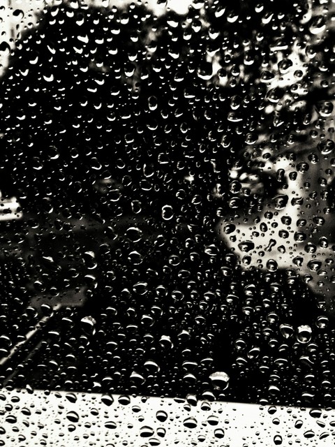 rain