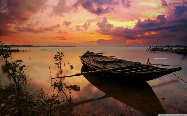 beautiful evening