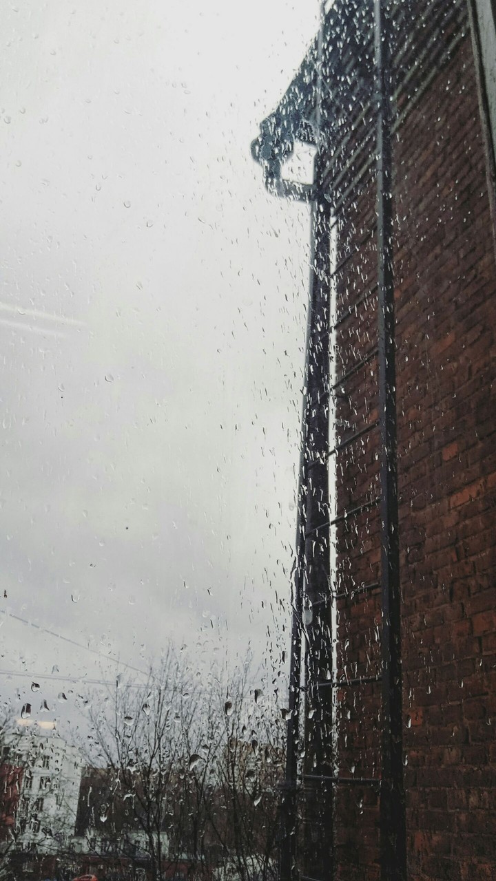 rain