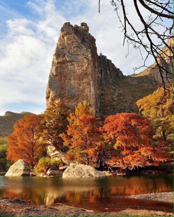 otoño en todo su esplendor, Coahuila, Mexico