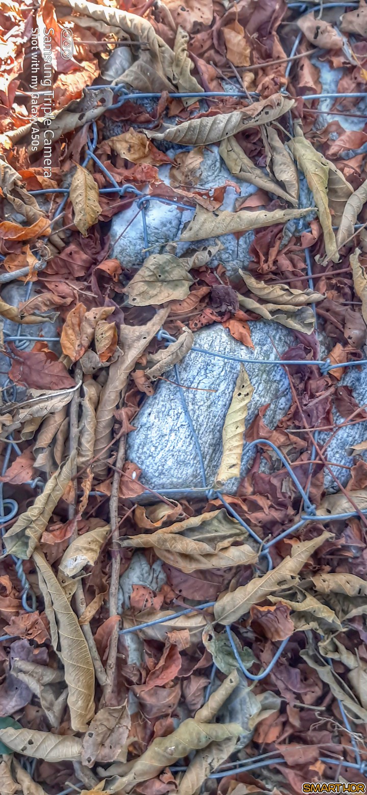 hdr