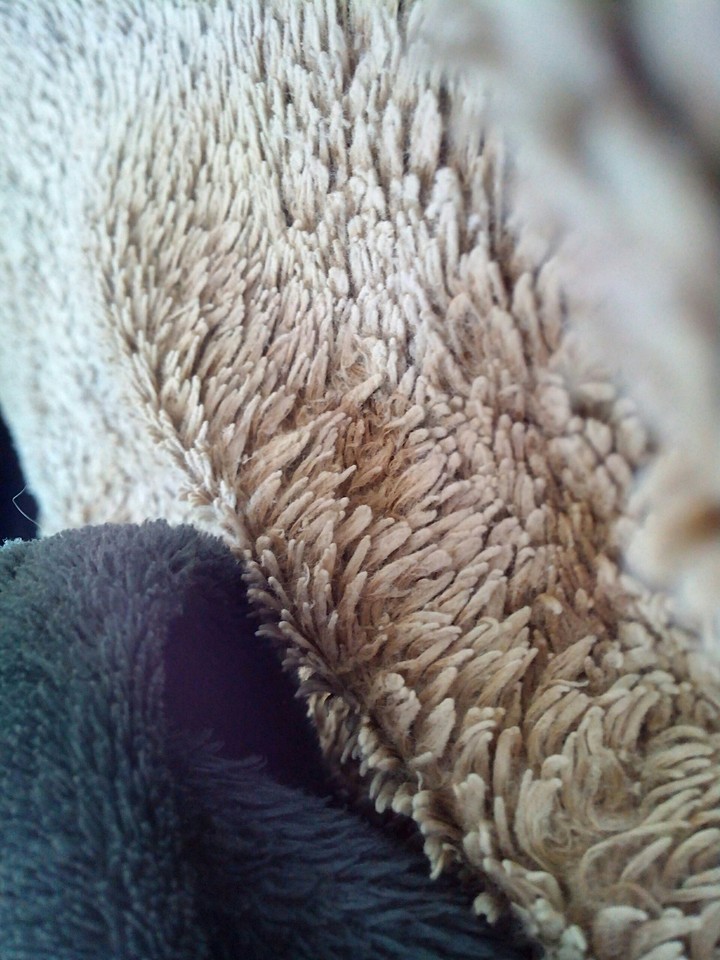 sweat