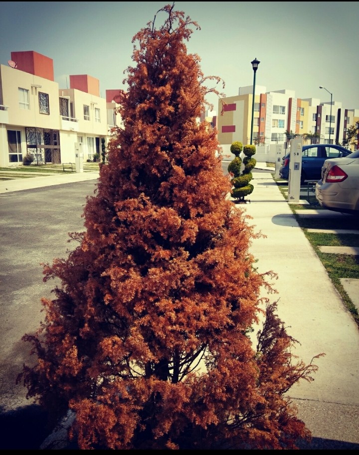 Bien con la naturaleza