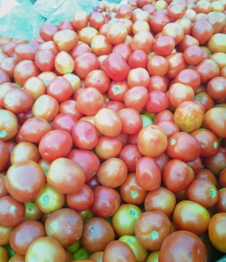 Tomatoes