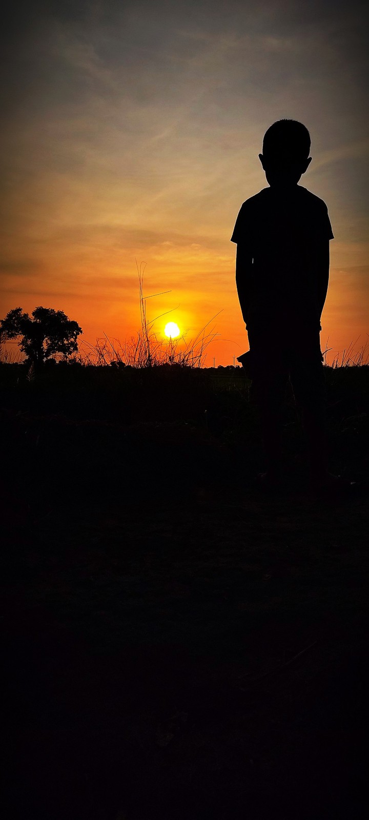 Sunset with kid