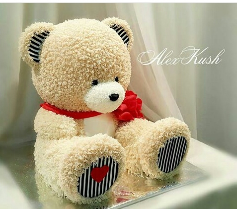 Teddy