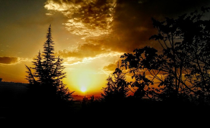 sun☀