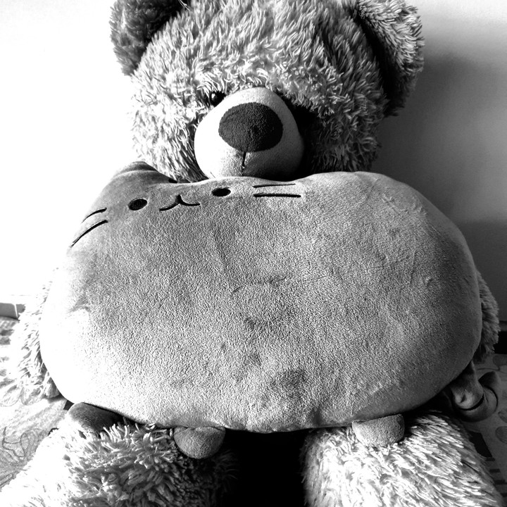 Ted