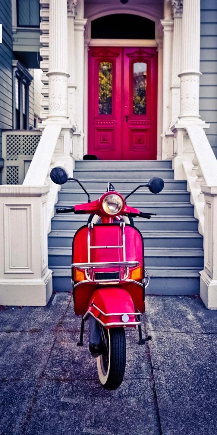 The scooty