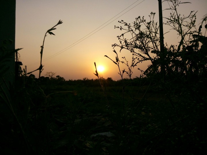 sun