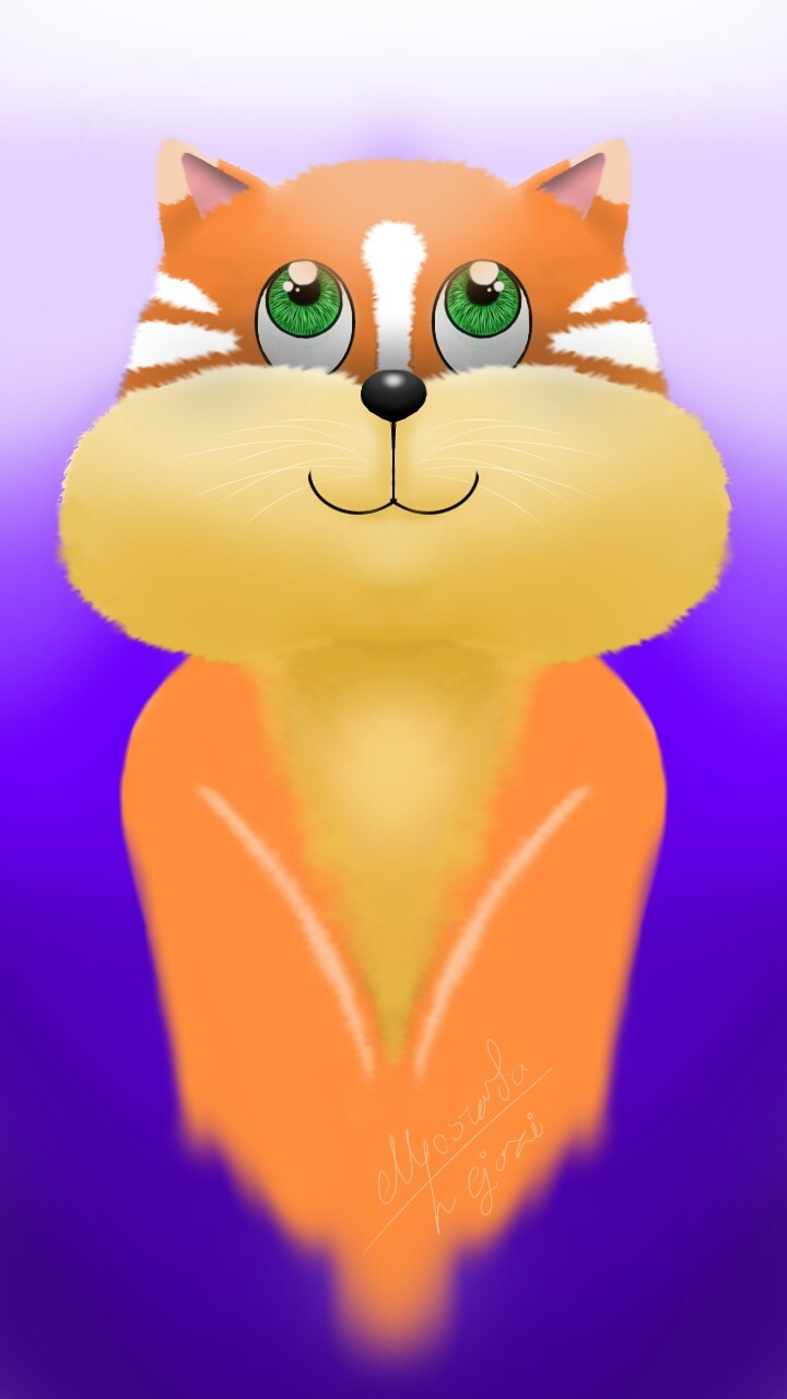 Orange cat
