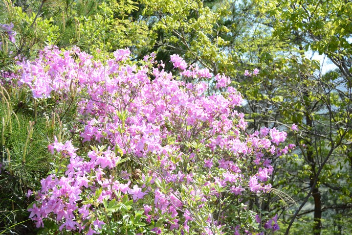지리산이미지
