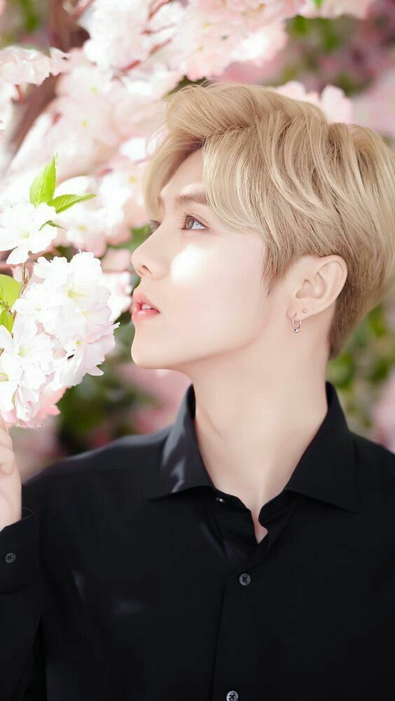 LuHan