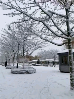 snow