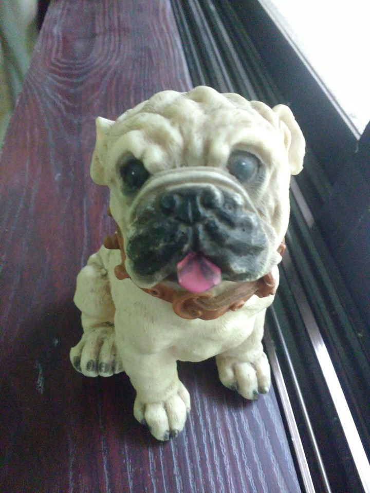 The Dog