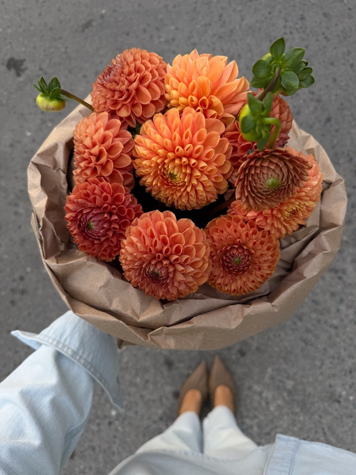 тапети flower, dahlia
