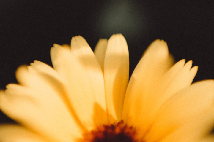 macro