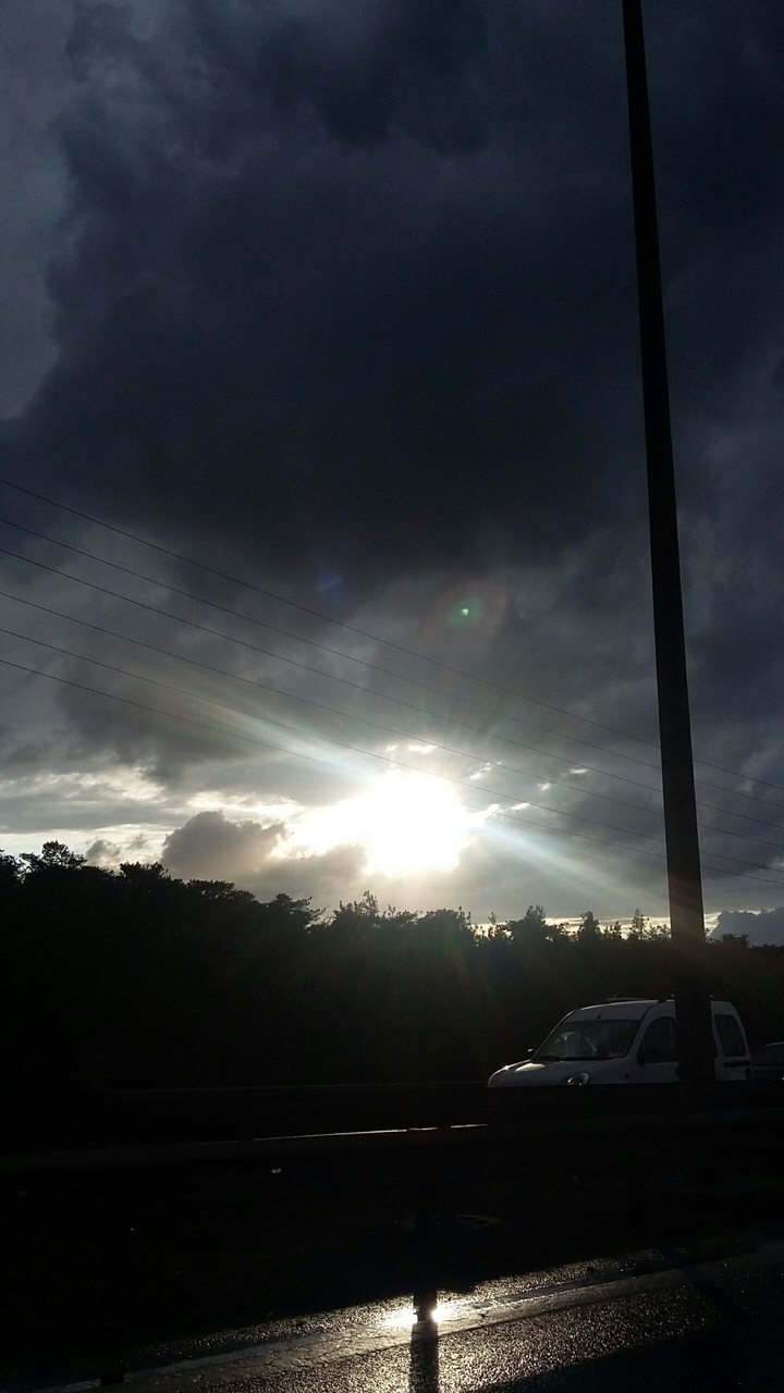 Sunny