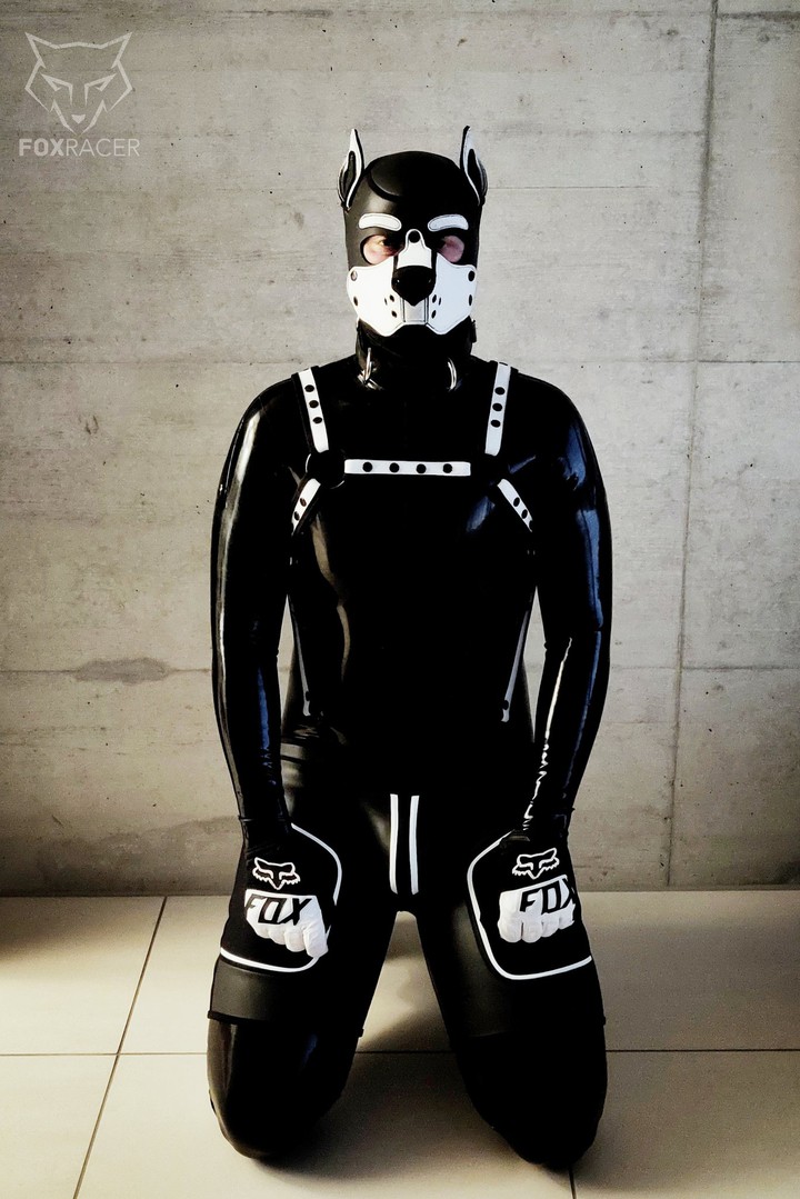 Rubber Puppy