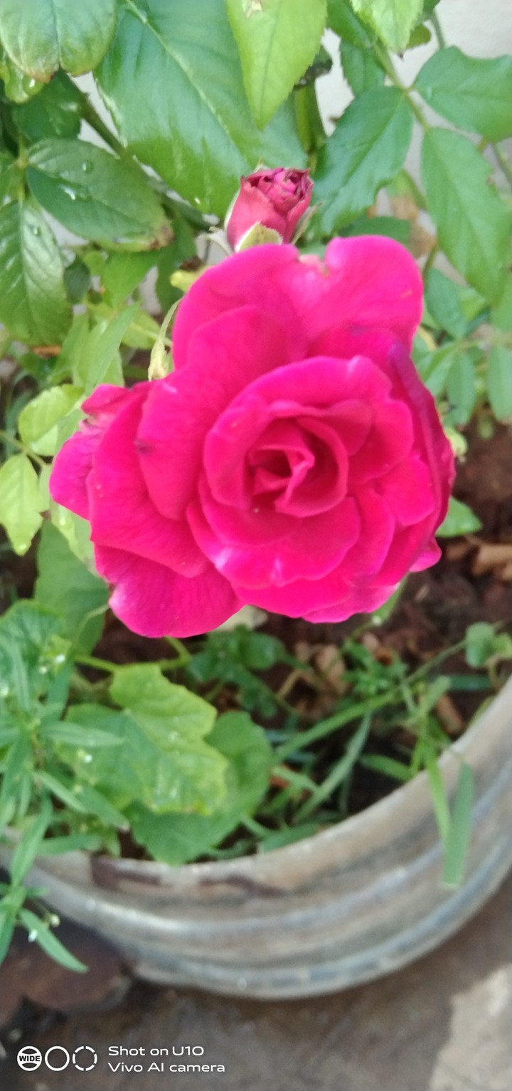 beautiful nature