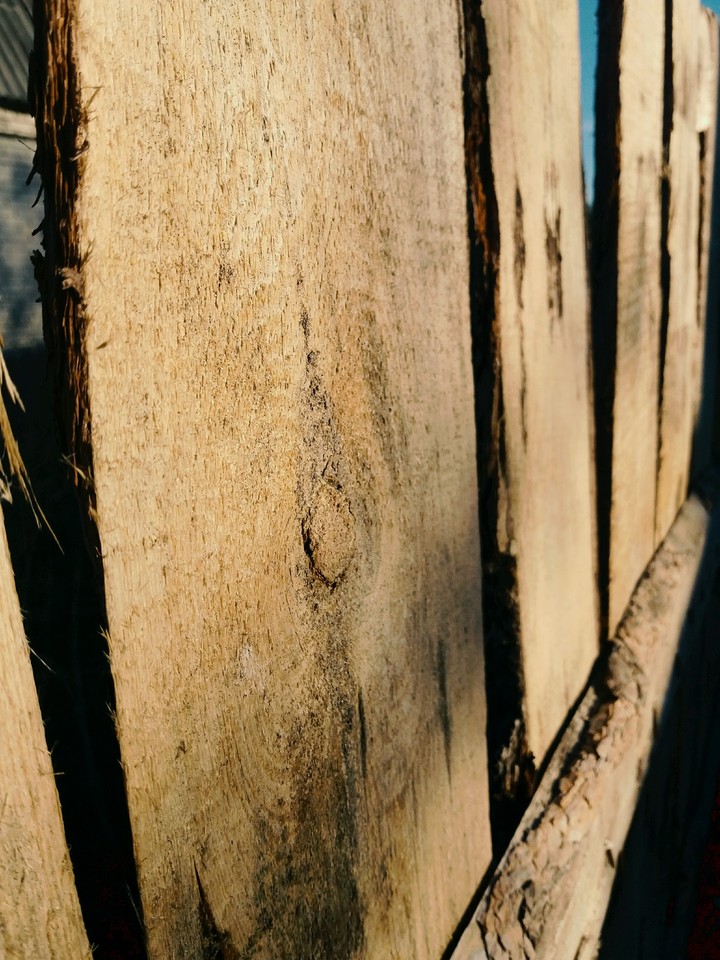 wood