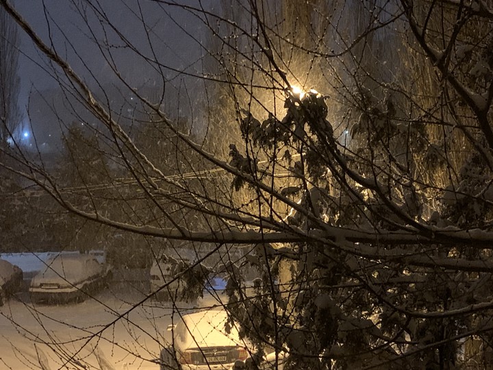Snowless night