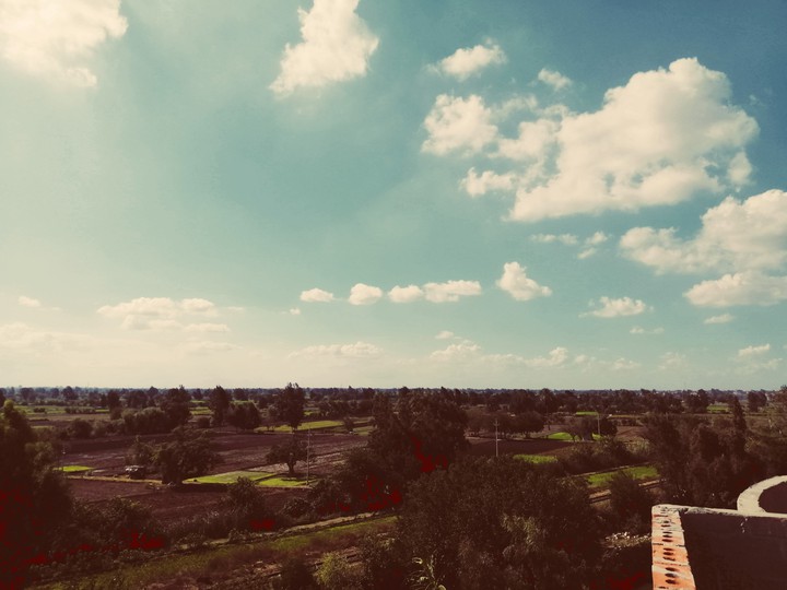 nature
