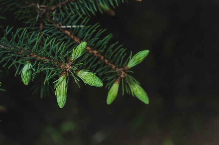 green