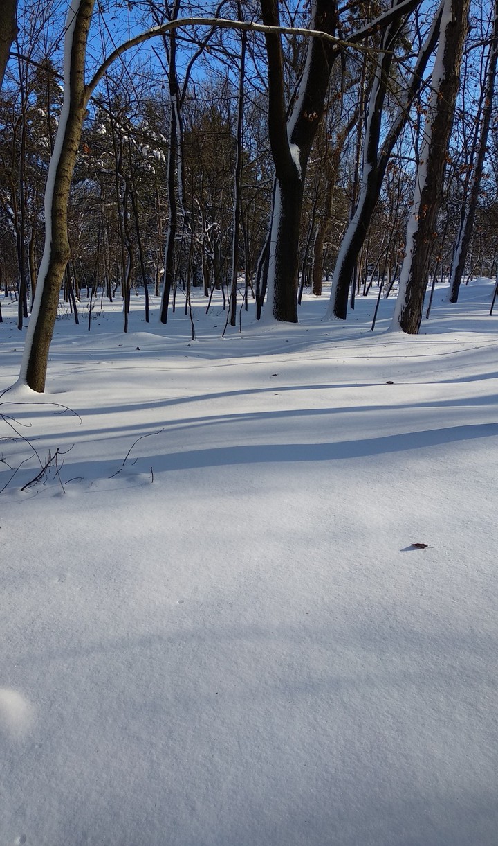 winter