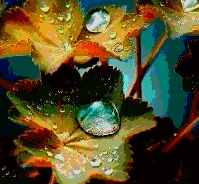 God Is In The Rain