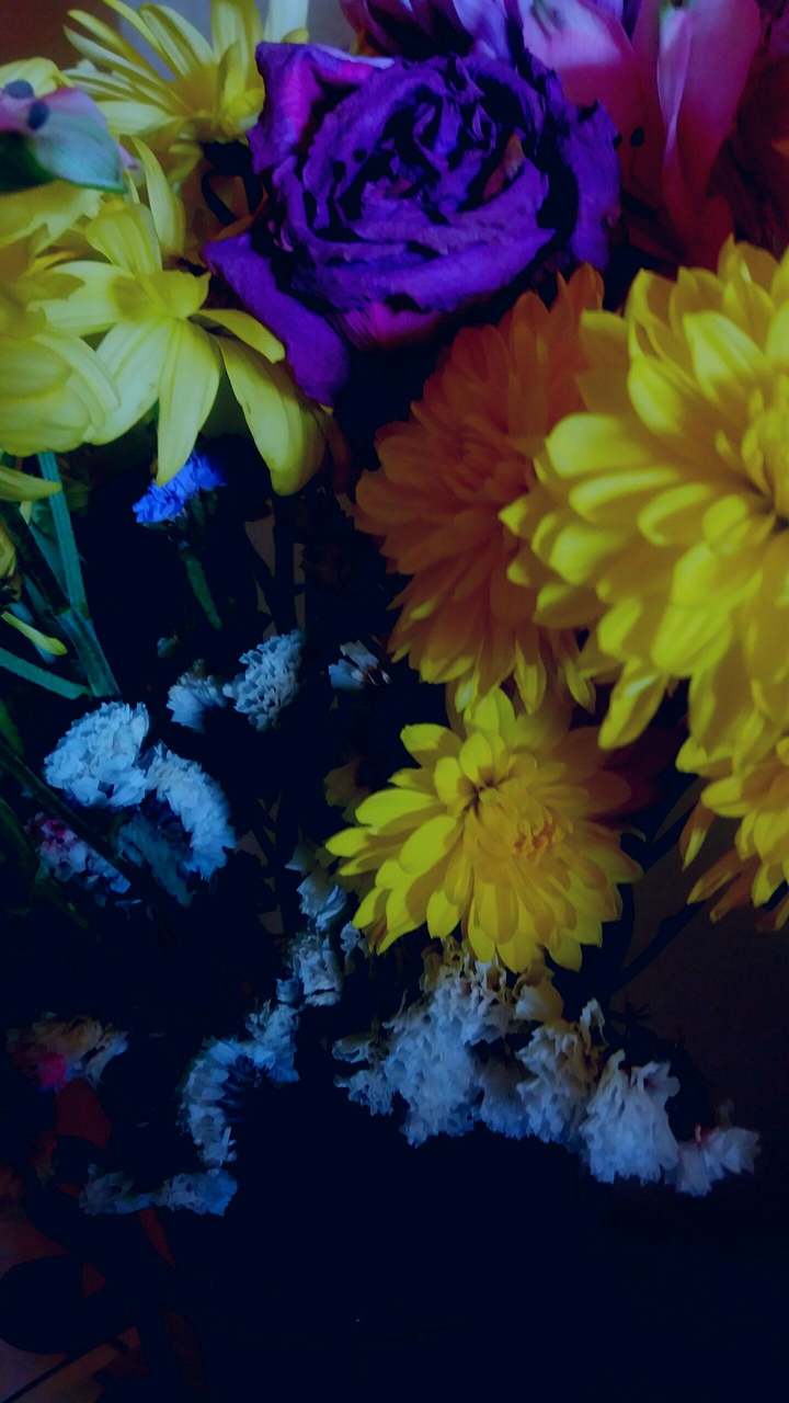 Friday's flowers 3