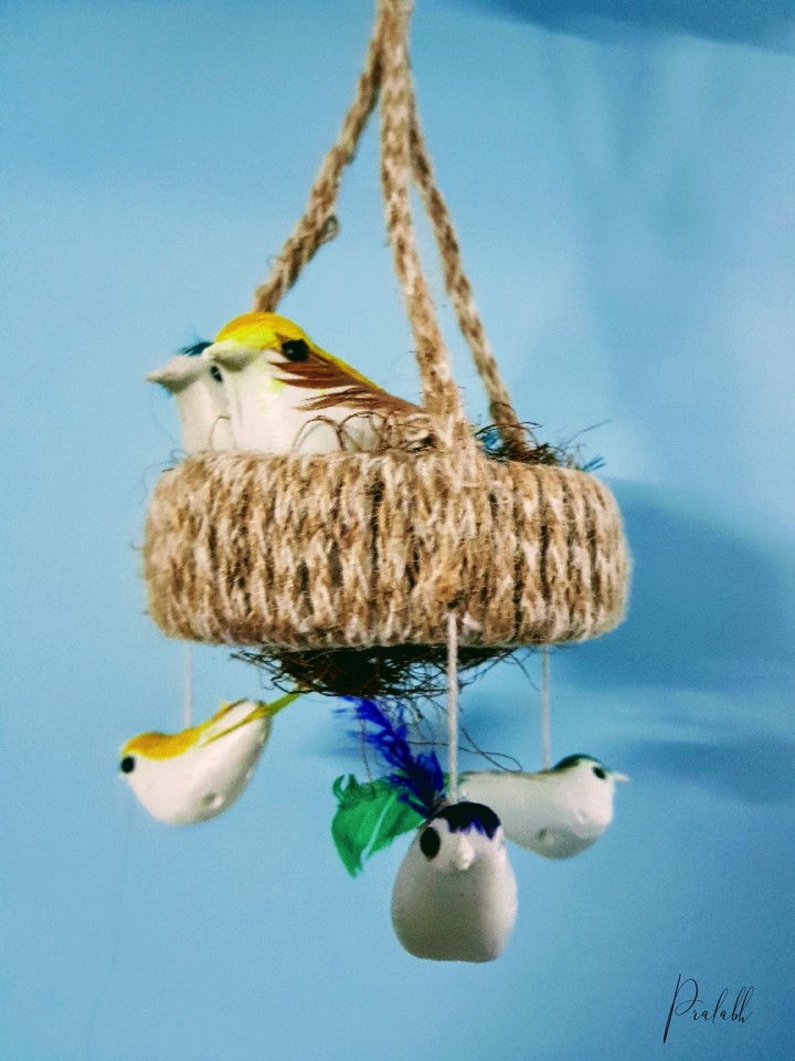 bird