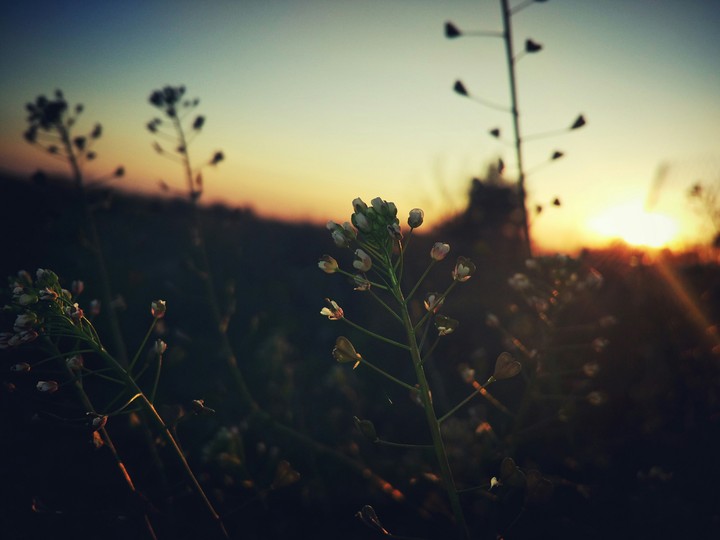 beautiful evening