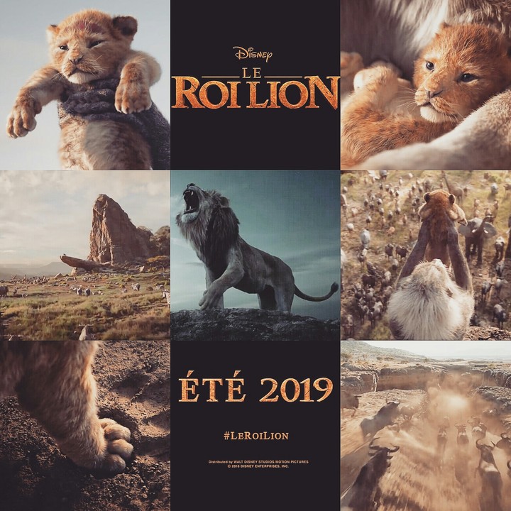 Le Roi Lion