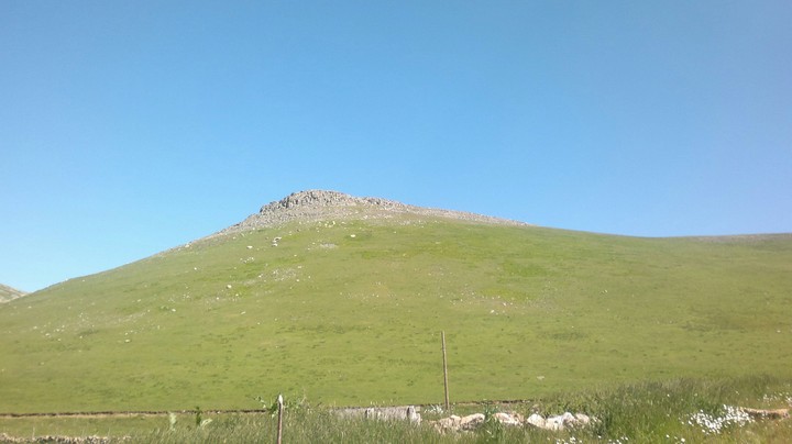 habitat