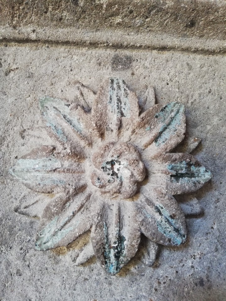 Flor