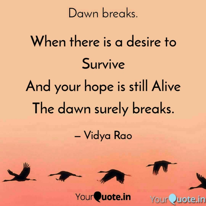 Never Loose Hope